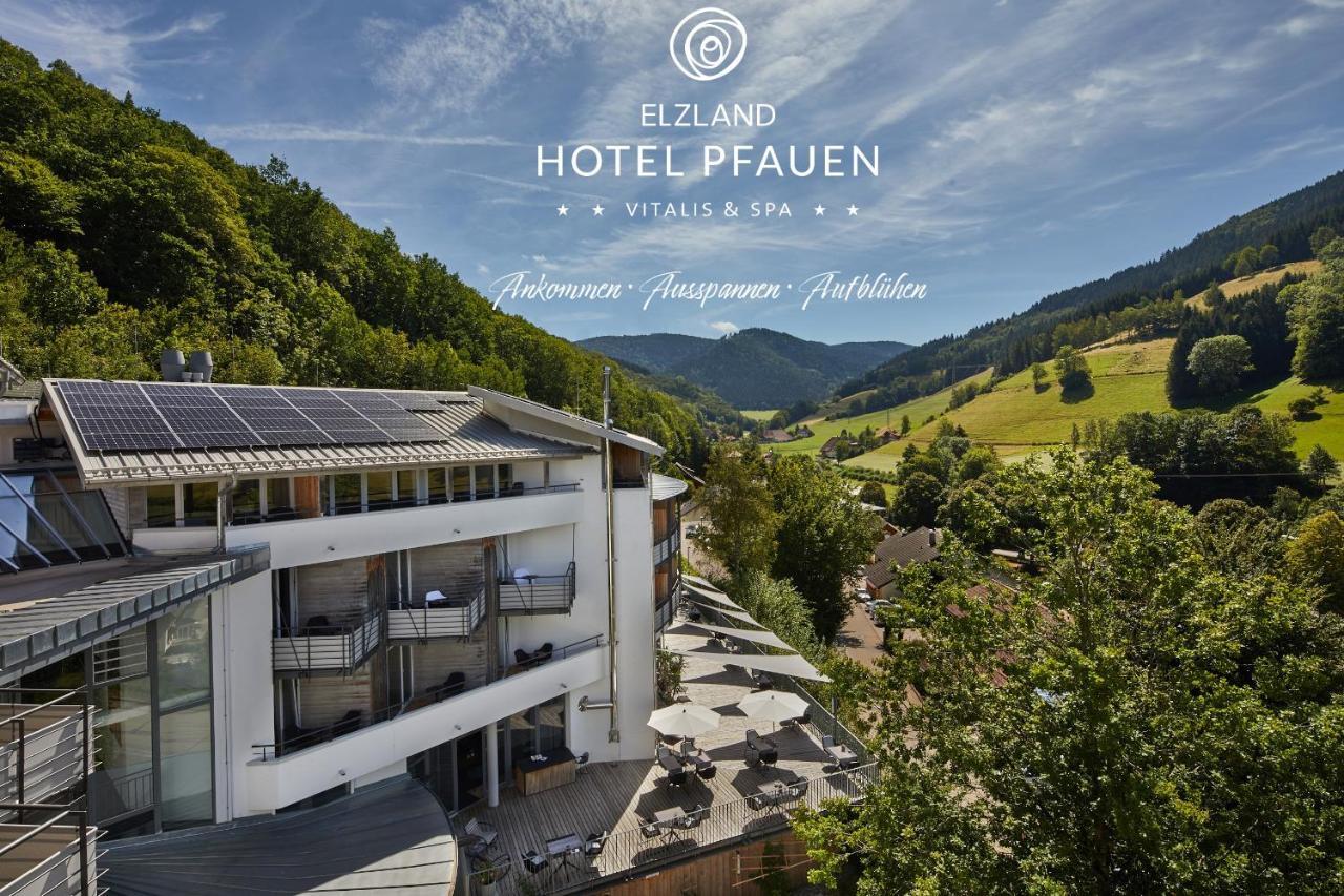 Elzland Hotel Pfauen Wellness & Spa Эльцах Экстерьер фото